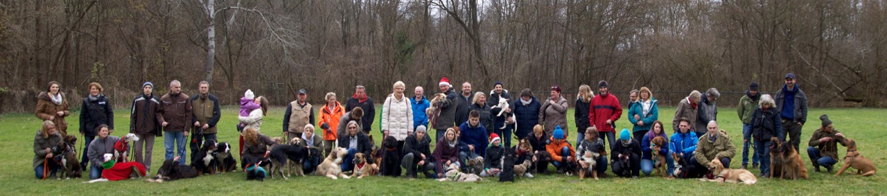 hundeweihnacht_2015 - 30